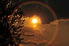 gallery_02